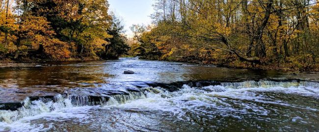 little salmon river falls